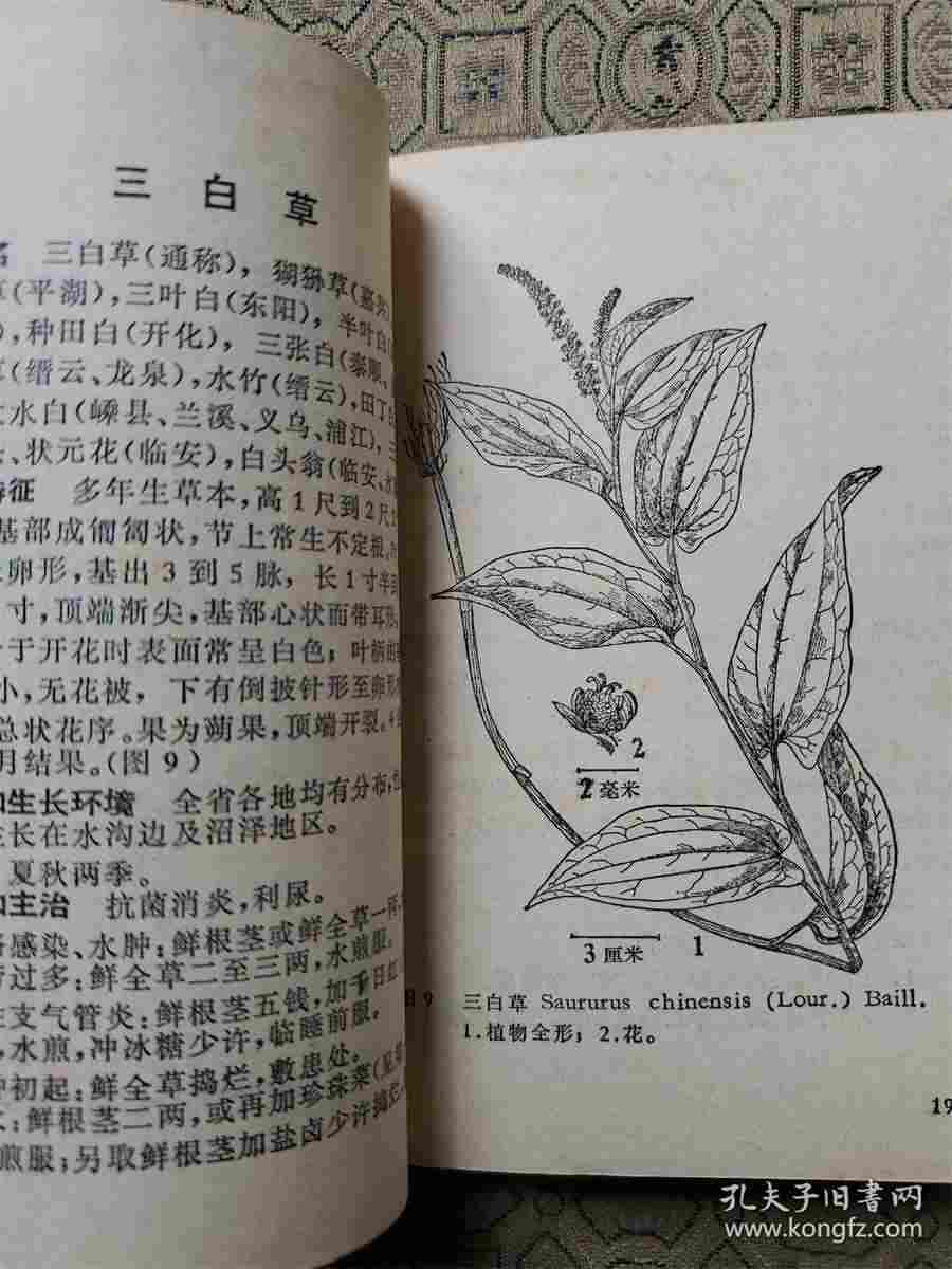 昆布 破阳 破阳 昆布 破阳 破阳