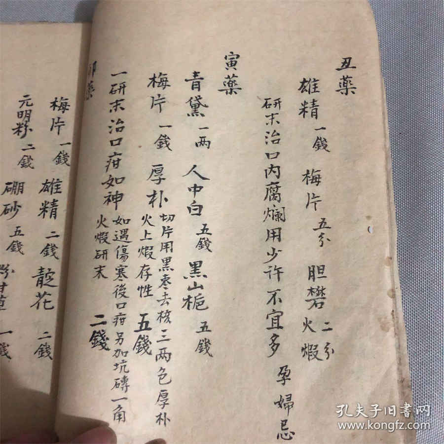 牵牛 牵牛属 牵牛 牵牛属