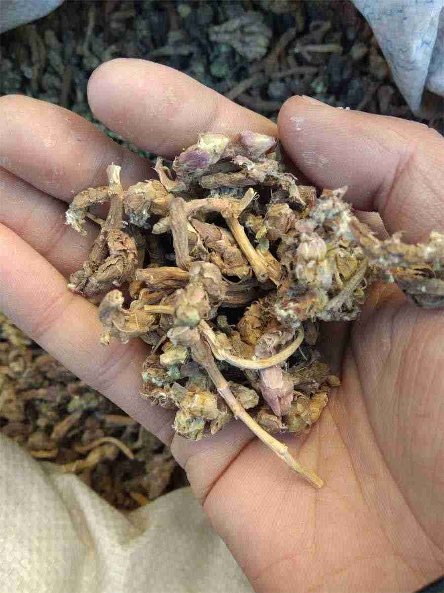 柿子茶的功效与作用 柿子茶含有咖啡碱吗(柿子泡茶有什么作用) 柿子茶的功效与作用 柿子茶含有咖啡碱吗(柿子泡茶有什么作用)