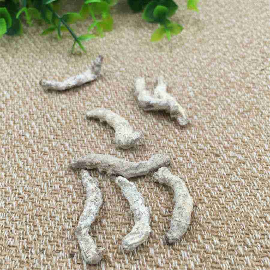 香港橄榄菜 香港橄榄菜里面的橄榄果可以吃吗 香港橄榄菜 香港橄榄菜里面的橄榄果可以吃吗
