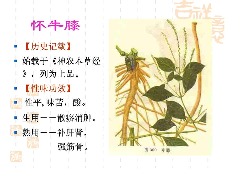 三七粉什么时候吃好?可以空腹的时候服用三七怎么吃教你三七粉的正确吃法及食用方法三七花的吃法大全 三七粉什么时候吃好?可以空腹的时候服用三七怎么吃教你三七粉的正确吃法及食用方法三七花的吃法大全