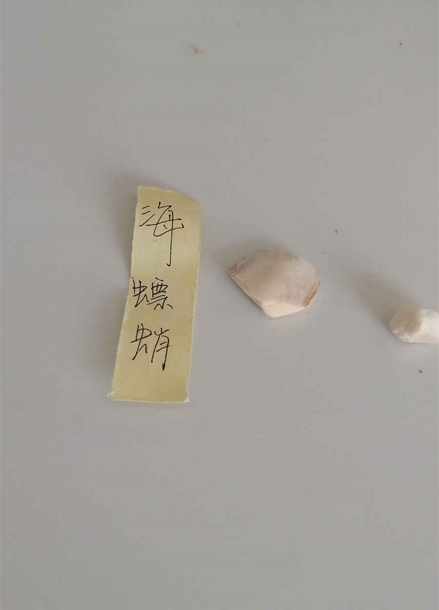四十三、〔鱼〕 手鱼 四十三、〔鱼〕 手鱼