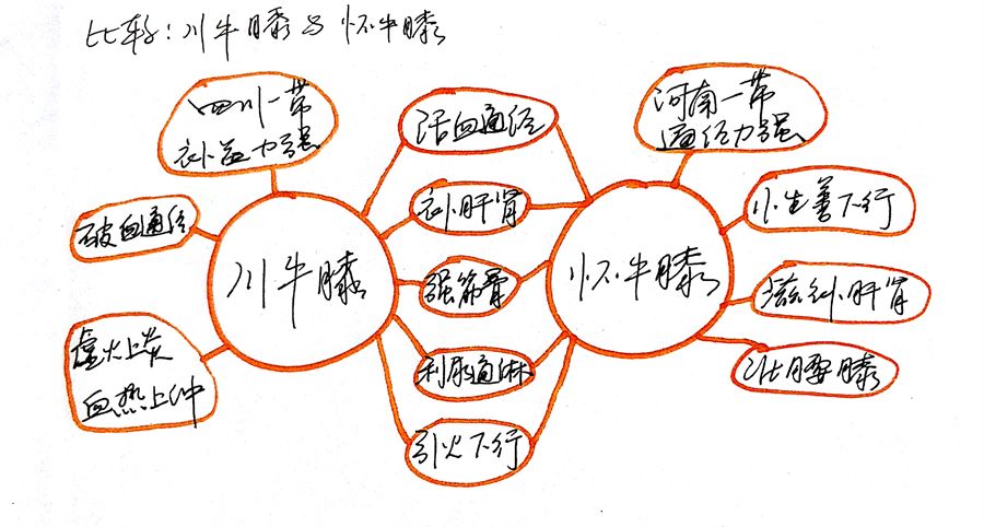 二陈越鞠汤 二陈越鞠丸 二陈越鞠汤 二陈越鞠丸