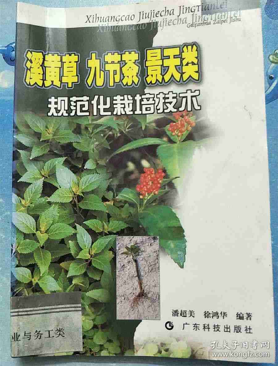 恋爱的时候如何撒娇,正确打开向男友撒娇的方式 如何向对象撒娇句子 恋爱的时候如何撒娇,正确打开向男友撒娇的方式 如何向对象撒娇句子