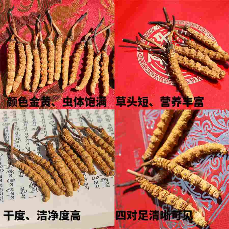 厦门十大景点排行榜 厦门旅游必去景区排名 厦门十大景点排行榜 厦门旅游必去景区排名