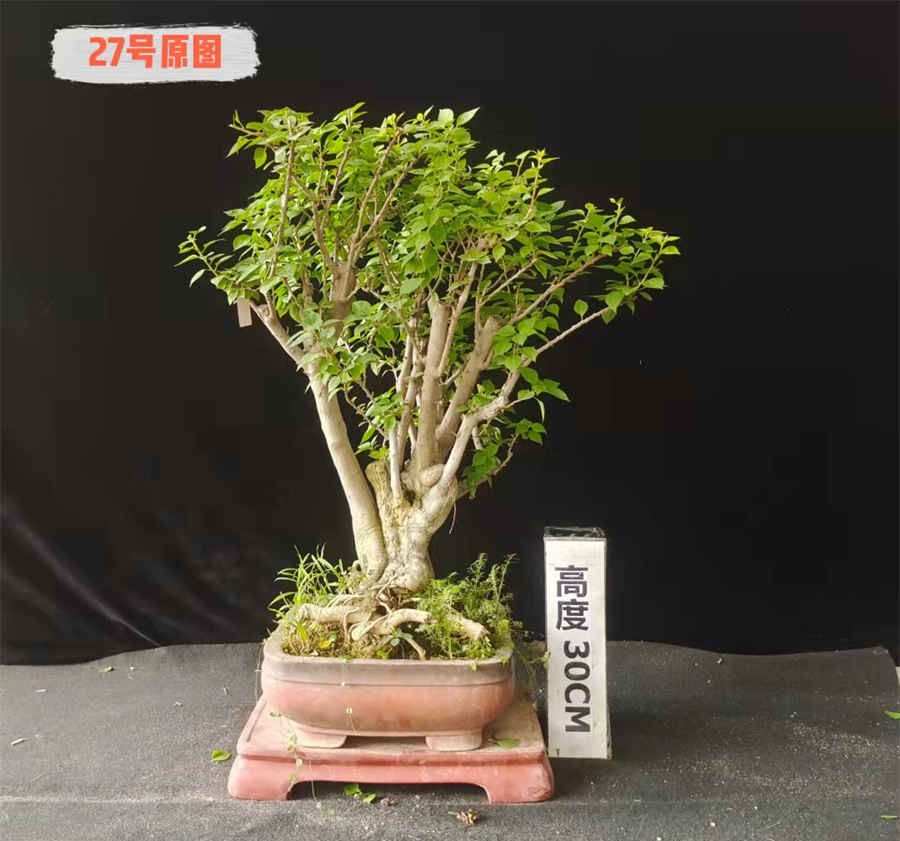 甘肃遗产继承税是多少(甘肃遗产名录) 甘肃省遗嘱补助标准 甘肃遗产继承税是多少(甘肃遗产名录) 甘肃省遗嘱补助标准