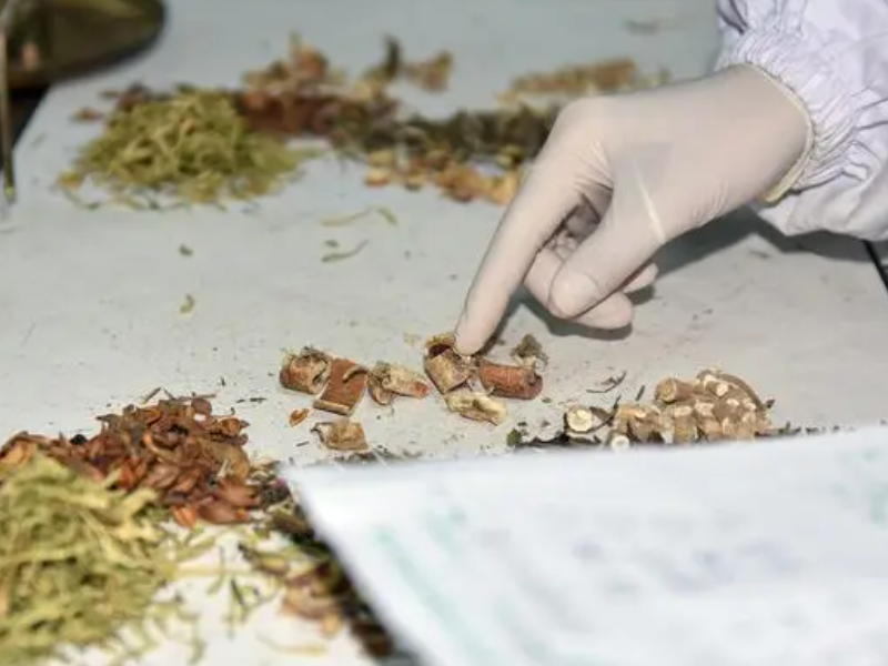 哪些书籍有利于提高中医辨证能力?