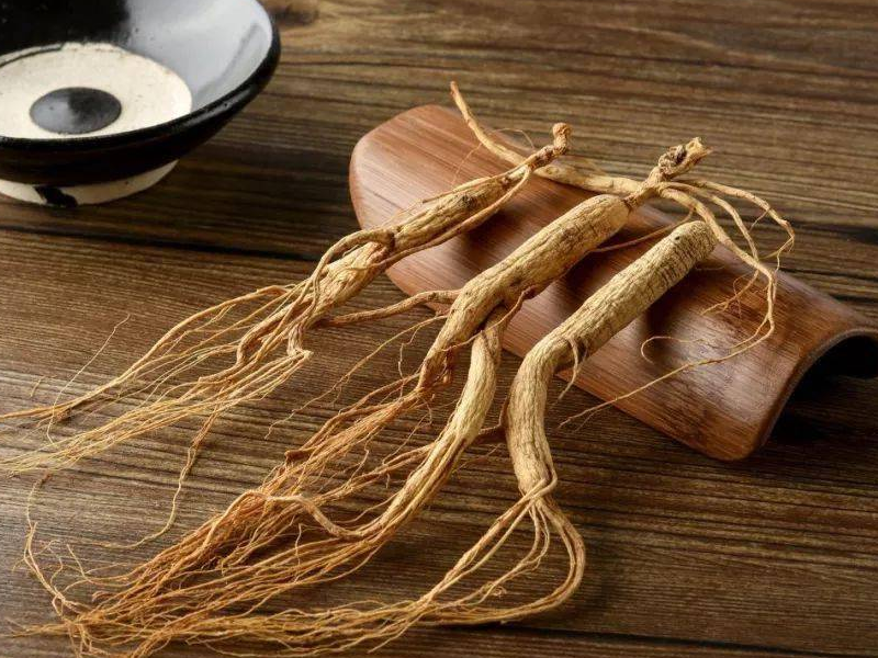梅爱芳的生平记录 梅爱芳资料 梅爱芳的生平记录 梅爱芳资料